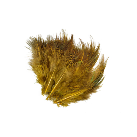 Lion Yellow