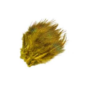 Sunburst Yellow