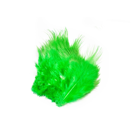 B&D Gaudy Green