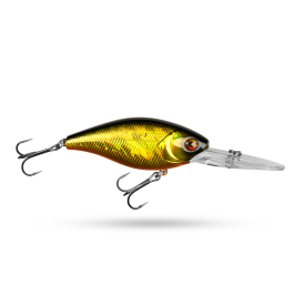 Golden Shiner