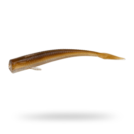 Arkansas Shiner