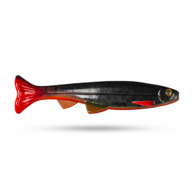 Motoroil Burbot