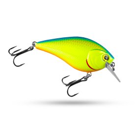Chartreuse Shad