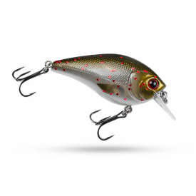 Arkansas Shiner