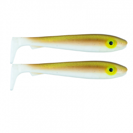 Perfect Bait Fish By Jens