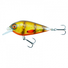 Walleye