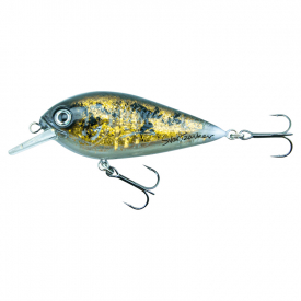 Lake Miltona Walleye