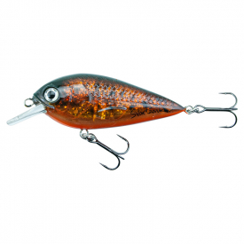 Crappie Burbot Motoroil 