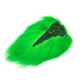 Fl Green