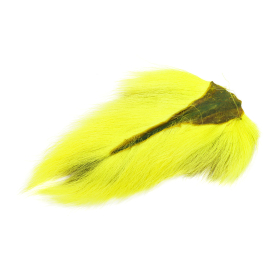 Fl Yellow