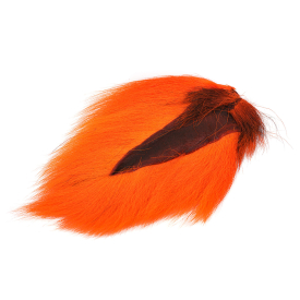 Hot Orange