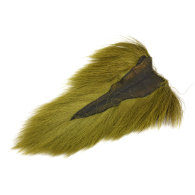 Medium Olive