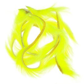 Fl. Yellow