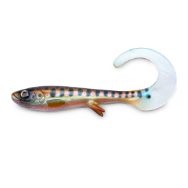 Smelt