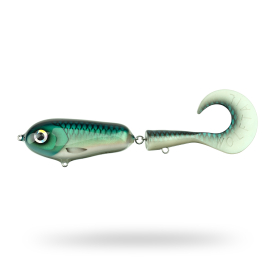 Baltic Herring