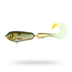 Froso Shad 