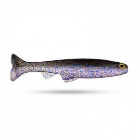 Transformer Shad