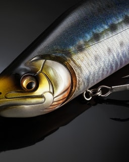 Japanese Domestic Market - JDM