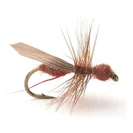 Guideline Flying Ant Cinnamon # 16