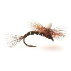 Guideline Ephemerella Klekker # 16