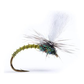 Klink Lt. Olive Biot #16