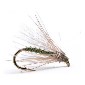 Guideline CDC Midge Olive # 16