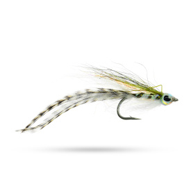 Umpqua Tide Rider Olive #6