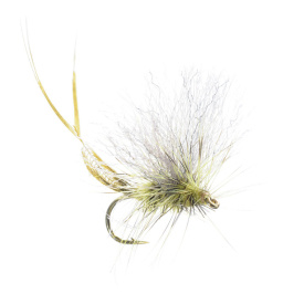 Umpqua Extended Body Brown Drake - #10