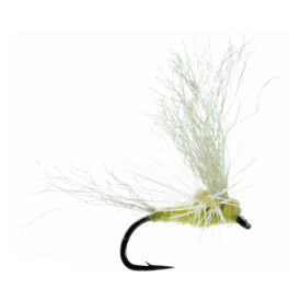 Umpqua May Day PMD