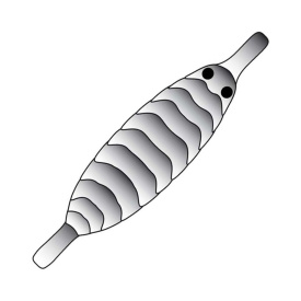 Pro Gammarus Shell Back M - Black