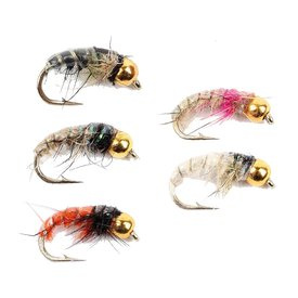 Gold Head Czech Nymphs 5-pak