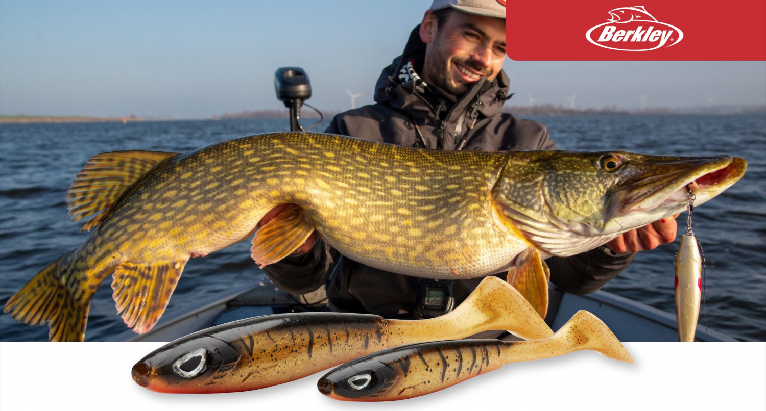 Leurre souple Berkley Sick Curl 12cm - Leurre de la pêche Leurre souple Berkley Sick Curl 12cm - Leurre de la pêche